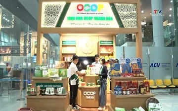 Đưa sản phẩm OCOP Thanh Hóa theo những chuyến bay