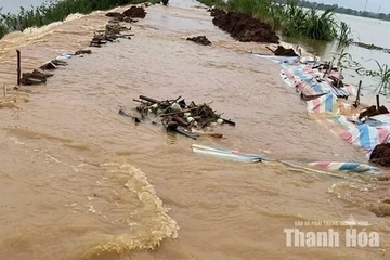 Tràn đê bao sông Cầu Chày