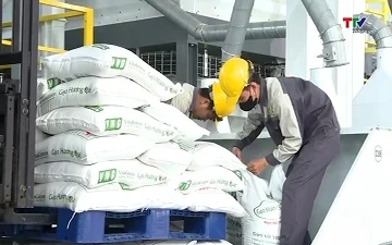 Giá gạo xuất khẩu Việt Nam giảm