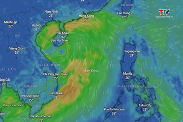 El Nino cường độ rất mạnh, đề phòng áp thấp nhiệt đới, bão bất thường