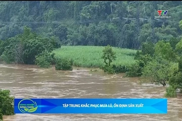Bản tin Nông nghiệp – Nông thôn ngày 19/9/2026