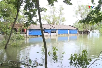 Nhiều trạng trại chăn nuôi vẫn bị ngập