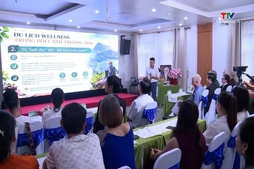 Wellness chữa lành tại những điểm đến xanh