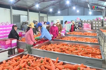 Xuất khẩu rau quả của Việt Nam có thể đạt 10 tỉ USD trong năm 2026