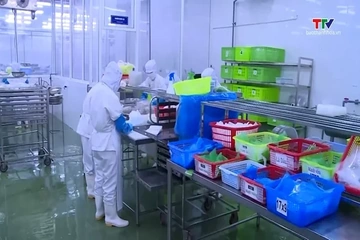 Chủ động quản trị rủi ro trước sức ép phòng vệ thương mại