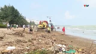 Lượng lớn bèo rác trôi dạt vào bờ biển Sầm Sơn sau đợt mưa lớn