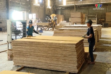 Xuất khẩu nông, lâm, thủy sản tăng tốc về đích