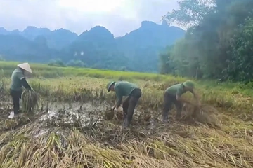 Công an Thanh Hóa chung tay giúp dân khắc phục hậu quả mưa lũ