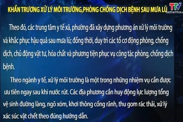 Khẩn trương xử lý môi trường, phòng chống dịch bệnh sau mưa lũ
