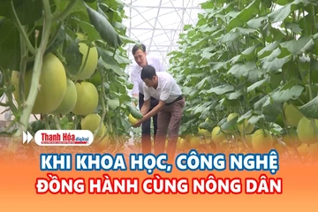 Khoa học và đời sống ngày 25/9/2026