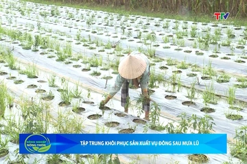 Bản tin Nông nghiệp - Nông thôn ngày 26/9/2026