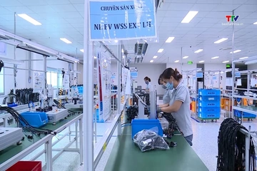 Doanh nghiệp xuất khẩu tìm cách giảm phụ thuộc vào một thị trường