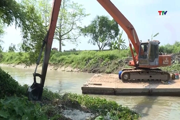 Tập trung nạo vét, trục vớt bèo rác sau mưa lũ