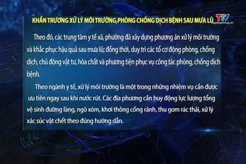 Khẩn trương xử lý môi trường, phòng chống dịch bệnh sau mưa lũ