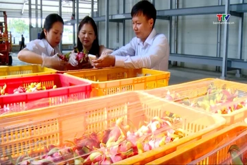 Công nghệ bảo quản tăng sức cạnh tranh cho nông sản Việt