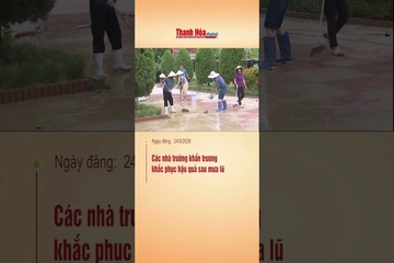 Các nhà trường khẩn trương khắc phục hậu quả sau mưa lũ