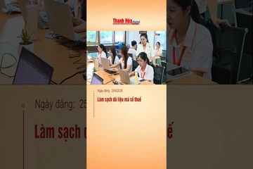 Làm sạch dữ liệu mã số thuế