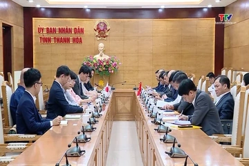 Thanh Hóa thúc đẩy hợp tác với Nhật Bản về kinh tế tuần hoàn, chuyển đổi xanh