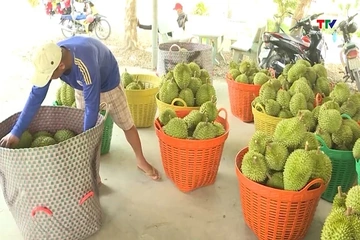 Hơn 800.000 nông sản đăng ký truy xuất nguồn gốc