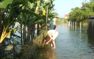 Triệu Sơn ra quân tổng vệ sinh môi trường, khơi thông dòng chảy