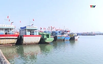 Cơ giới hóa nghề cá, tăng năng lực khai thác xa bờ