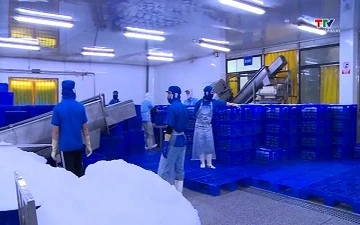 Singapore cảnh báo khai báo đúng giá trị hàng thủy sản, rau củ, trái cây
