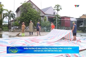 Bản tin Nông nghiệp - Nông thôn ngày 23/9/2026