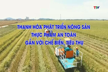 Phóng sự: Thanh Hóa phát triển nông sản thực phẩm an toàn gắn với chế biến tiêu thụ