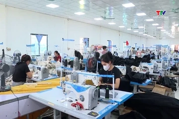 Hoàn thuế giá trị gia tăng tự động cho doanh nghiệp từ tháng 10