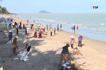 Xã Hoằng Tiến tổng vệ sinh môi trường bờ biển