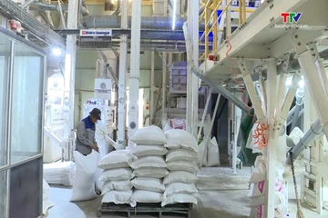 Chính phủ ban hành Nghị định về kinh doanh xuất nhập khẩu gạo