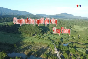 Phóng sự: Chuyện những người giữ rừng Sông Chàng