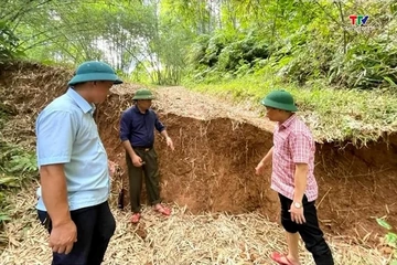 Công bố tình huống khẩn cấp sạt lở đất tại khu đồi Na Niêng và Na Lo