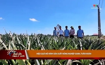 Hiệu quả mô hình sản xuất nông nghiệp xanh, tuần hoàn