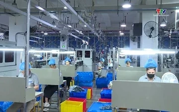 Tăng tốc từ những dư địa tăng trưởng