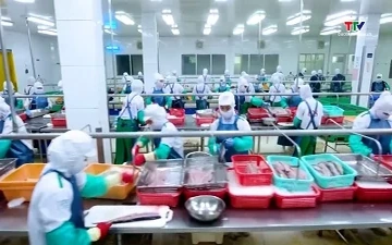Nông sản Việt ứng phó làn sóng quy định an toàn thực phẩm mới từ WTO