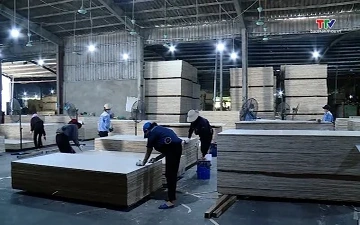 Xuất khẩu gỗ và và sản phẩm gỗ tăng trưởng tích cực