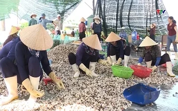 Chủ động nguồn nguyên liệu, nâng giá trị thủy sản xuất khẩu