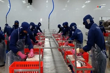 Ấn Độ là thị trường nhập khẩu thủy sản lớn nhất của Việt Nam