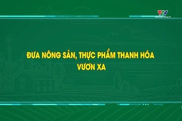 Phóng sự: Đưa nông sản, thực phẩm Thanh Hóa vươn xa