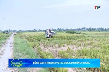 Bản tin Nông nghiệp – Nông thôn ngày 3/10/2026