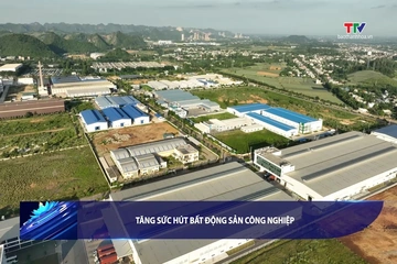Bản tin Tài chính - Thị trường ngày 30/9/2026