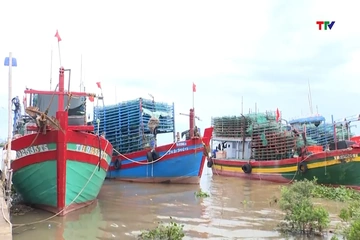 Sẵn sàng 3 khu neo đậu, tránh trú bão cho gần 1.800 tàu cá