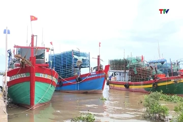 Sẵn sàng 3 khu neo đậu, tránh trú bão cho gần 1.800 tàu cá