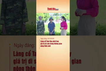 Làng cổ Tam Quy phát huy giá trị di sản trong không gian nông thôn mới.