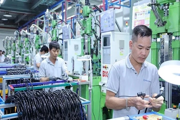 Dòng vốn lớn, sức sống mới!