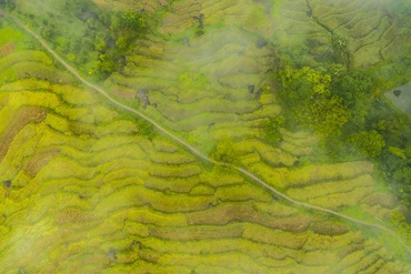 Pù Luông trong sương: “Sa Pa xứ Thanh” mê hoặc lòng người