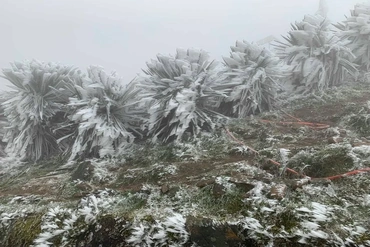 Thời tiết hôm nay 13/12: Bắc Bộ chuyển mưa rét