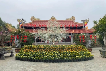 Chùa&nbsp; Mèo -&nbsp; điểm du lịch văn hóa tâm linh