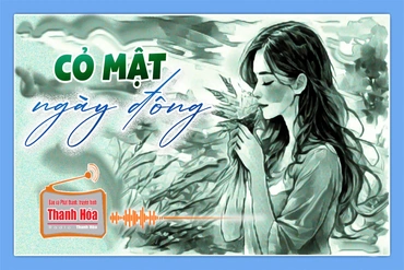 [Podcast Tản văn]: Cỏ mật ngày đông